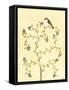 Berry Bird II-Virginia A. Roper-Framed Stretched Canvas