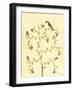 Berry Bird II-Virginia A. Roper-Framed Art Print