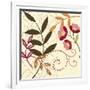 Berry Blossom I-Vision Studio-Framed Art Print