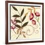 Berry Blossom I-Vision Studio-Framed Art Print