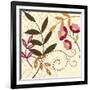 Berry Blossom I-Vision Studio-Framed Art Print