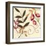 Berry Blossom I-Vision Studio-Framed Art Print