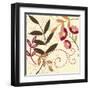 Berry Blossom I-Vision Studio-Framed Art Print