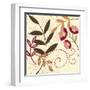 Berry Blossom I-Vision Studio-Framed Art Print