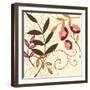 Berry Blossom I-Vision Studio-Framed Art Print