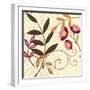 Berry Blossom I-Vision Studio-Framed Art Print