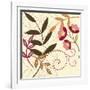 Berry Blossom I-Vision Studio-Framed Art Print