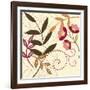 Berry Blossom I-Vision Studio-Framed Art Print