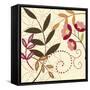 Berry Blossom I-Vision Studio-Framed Stretched Canvas