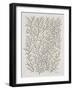 Berry Branches in Gold and Black-Cat Coquillette-Framed Art Print