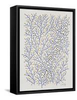 Berry Branches in Gold and Navy-Cat Coquillette-Framed Stretched Canvas