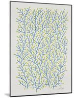Berry Branches in Lime and Blue-Cat Coquillette-Mounted Art Print