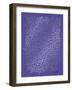 Berry Branches in Periwinkle-Cat Coquillette-Framed Art Print