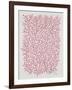 Berry Branches in Pink-Cat Coquillette-Framed Art Print