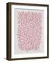 Berry Branches in Pink-Cat Coquillette-Framed Art Print