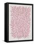Berry Branches in Pink-Cat Coquillette-Framed Stretched Canvas