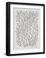 Berry Branches in Silver and Black-Cat Coquillette-Framed Art Print