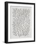 Berry Branches in Silver and Black-Cat Coquillette-Framed Art Print