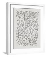 Berry Branches in Silver and Black-Cat Coquillette-Framed Art Print