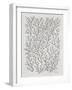 Berry Branches in Silver and Black-Cat Coquillette-Framed Art Print