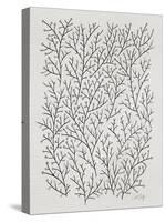 Berry Branches in Silver and Black-Cat Coquillette-Stretched Canvas