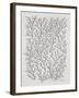 Berry Branches in Silver and Black-Cat Coquillette-Framed Art Print