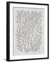 Berry Branches in Silver and Black-Cat Coquillette-Framed Art Print