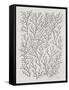 Berry Branches in Silver and Black-Cat Coquillette-Framed Stretched Canvas