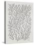 Berry Branches in Silver and Black-Cat Coquillette-Stretched Canvas