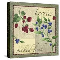 Berry Patch-Fiona Stokes-Gilbert-Stretched Canvas