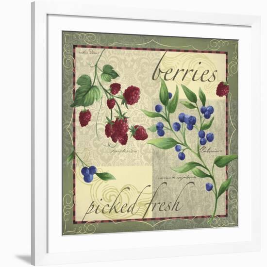 Berry Patch-Fiona Stokes-Gilbert-Framed Giclee Print