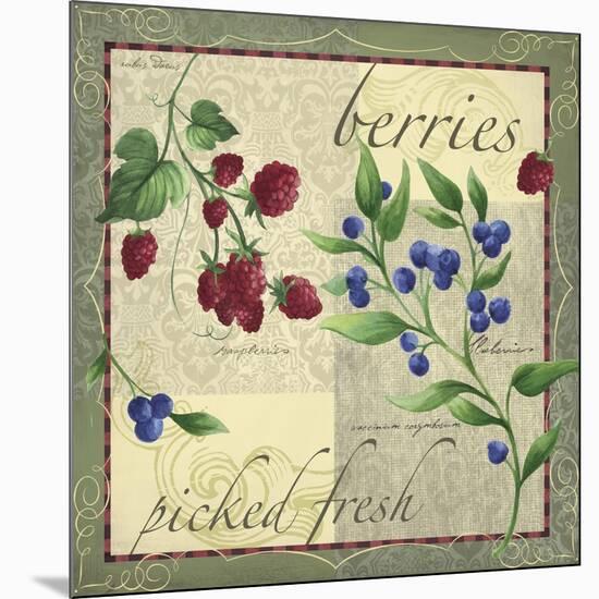 Berry Patch-Fiona Stokes-Gilbert-Mounted Giclee Print