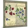 Berry Patch-Fiona Stokes-Gilbert-Mounted Giclee Print