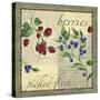 Berry Patch-Fiona Stokes-Gilbert-Stretched Canvas