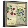 Berry Patch-Fiona Stokes-Gilbert-Framed Stretched Canvas