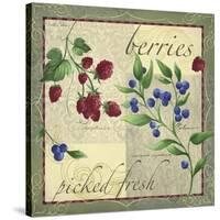 Berry Patch-Fiona Stokes-Gilbert-Stretched Canvas