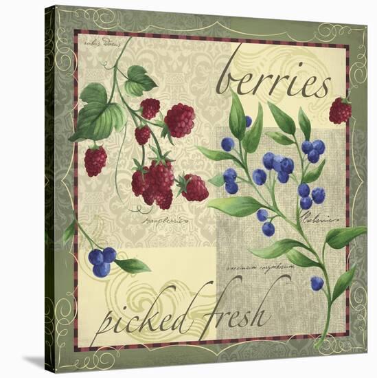 Berry Patch-Fiona Stokes-Gilbert-Stretched Canvas