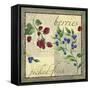 Berry Patch-Fiona Stokes-Gilbert-Framed Stretched Canvas