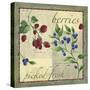 Berry Patch-Fiona Stokes-Gilbert-Stretched Canvas