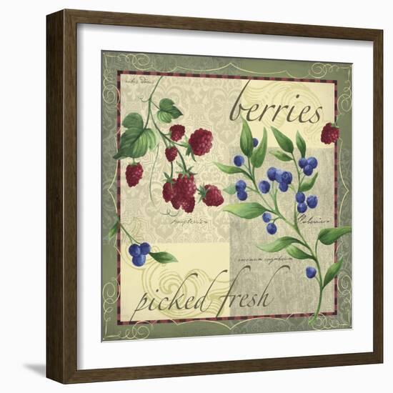 Berry Patch-Fiona Stokes-Gilbert-Framed Giclee Print
