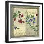 Berry Patch-Fiona Stokes-Gilbert-Framed Giclee Print