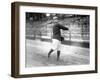 Bert Daniels, NY Yankees, Baseball Photo - New York, NY-Lantern Press-Framed Art Print