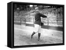 Bert Daniels, NY Yankees, Baseball Photo - New York, NY-Lantern Press-Framed Stretched Canvas