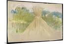 Wood Mount