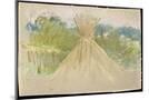 Wood Mount