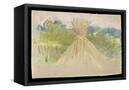 Canvas Black