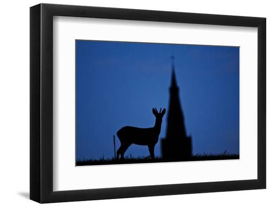 Premium Photographic Print, , large