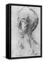 Bertrand Russell-Ivan Opffer-Framed Stretched Canvas