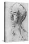 Bertrand Russell-Ivan Opffer-Stretched Canvas