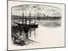 Berwick-On-Tweed-null-Mounted Giclee Print